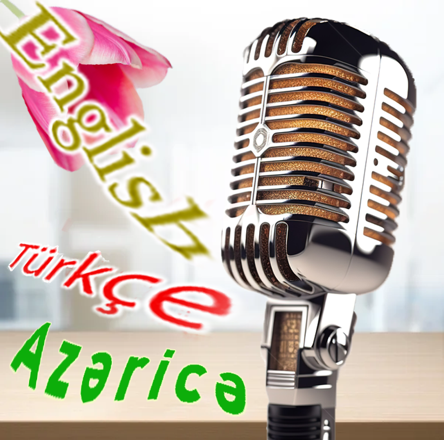 Услуги перевода, устные переводы