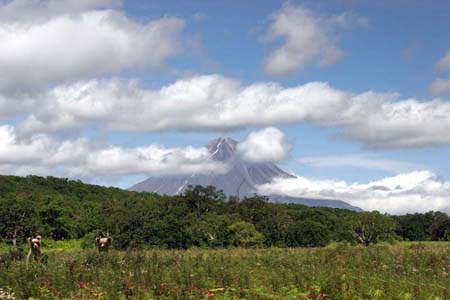 Дальний Восток России - Камчатка - Перевод русского, азербайджанского, турецкого языка